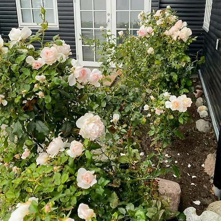 Holiday home Breathtaking Sea View At Dinestrup Ullerslev