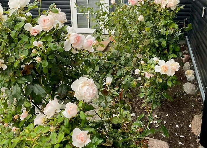 Breathtaking Sea View At Dinestrup Holiday home Ullerslev